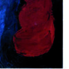 exofilo orthokosta A (002)