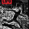 882COVER_600px